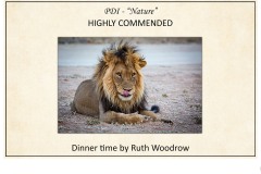 2019 Awards Presentations