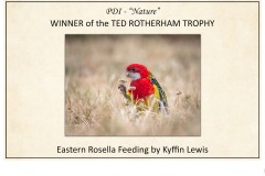 2019 Awards Presentations