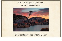 2019 Awards Presentations