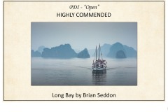 2019 Awards Presentations