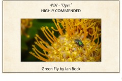 2019 Awards Presentations