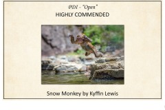 2019 Awards Presentations