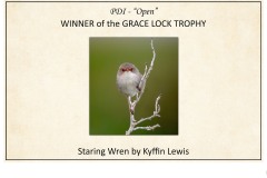 2019 Awards Presentations