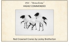 2019 Awards Presentations