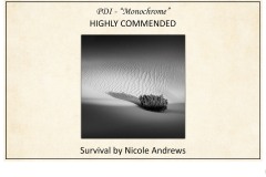 2019 Awards Presentations