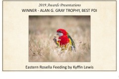 2019 Awards Presentations