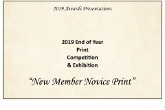 2019 Awards Presentations