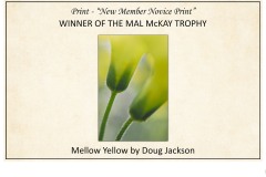 2019 Awards Presentations