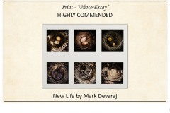 2019 Awards Presentations