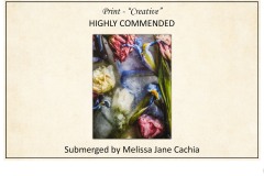 2019 Awards Presentations