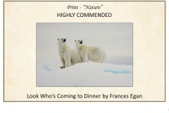 2019 Awards Presentations