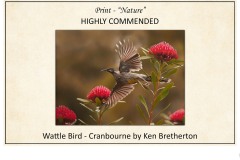 2019 Awards Presentations