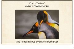 2019 Awards Presentations