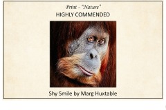 2019 Awards Presentations