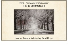 2019 Awards Presentations