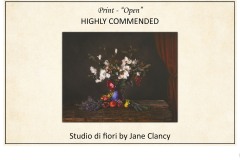 2019 Awards Presentations