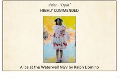 2019 Awards Presentations