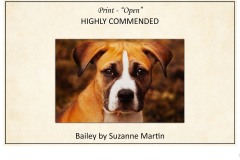 2019 Awards Presentations