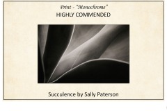 2019 Awards Presentations