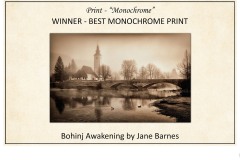 2019 Awards Presentations