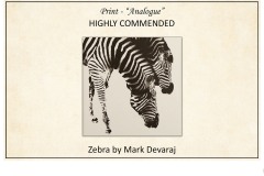 2019 Awards Presentations