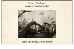 2019 Awards Presentations