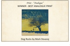 2019 Awards Presentations