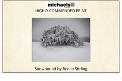 2019 Awards Presentations