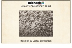 2019 Awards Presentations