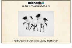 2019 Awards Presentations