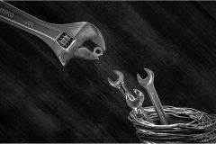 Creative.Awarded.Highly-Commended.Kees-Zonneveld.Spanner-Birds.S0181.U0127.I0811