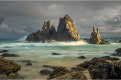 Mark Gray Merimbula Photo Tour