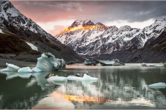 NZ Wildlight Photo Tour