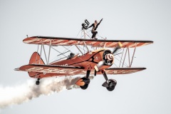 Open.Awarded.Highly-Commended.Kyffin-Lewis.Flying-High.S0646.U0141.I0466