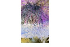 Lord Howe Island Pond Reflections - Ralph Domino (Commended - Open B Grade - Feb 2019 PDI)