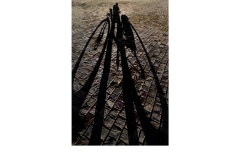 Giant's Bike - Frances Egan (Commended - Set Subject - Shadows - Feb 2019 PDI)