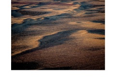 Shadows at sunset - Annette Donald (Highly Commended - Set Subject - Shadows - Feb 2019 PDI)