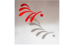 Shadows in Flight - Jane Barnes (Highly Commended - Set Subject - Shadows - Feb 2019 PDI)