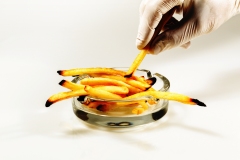 15.EoY21.Conceptual.Beware-of-Junk-Food.Lynette-McKelvie.Image6_