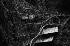 18.EoY21.Conceptual.Ever-After-TBD.Renee-Sterling.Image2_