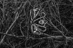 19.EoY21.Conceptual.Ever-After-TBD.Renee-Sterling.Image3_