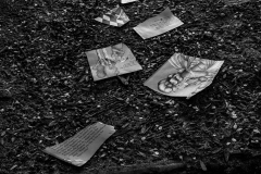 22.EoY21.Conceptual.Ever-After-TBD.Renee-Sterling.Image6_