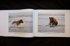 16.Gary-Richardson.Coastal-Brown-Bears-of-Alaska.3.Spread1Image