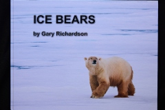 19.Gary-Richardson.Ice-Bears.1.CoverImage