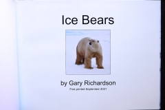 20.Gary-Richardson.Ice-Bears.2.FrontPageImage