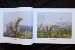 21.Gary-Richardson.Ice-Bears.3.Spread1Image