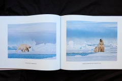 22.Gary-Richardson.Ice-Bears.4.Spread2Image
