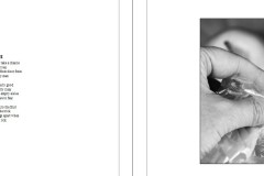39.Nicole-Andrews.Surviving-a-Pandemic.3.Spread1Image