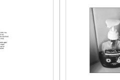 40.Nicole-Andrews.Surviving-a-Pandemic.4.Spread2Image