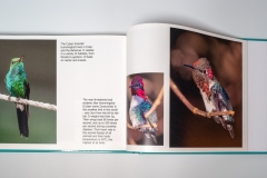 44.Ruth-Woodrow.Cuba_.3.Spread1Image